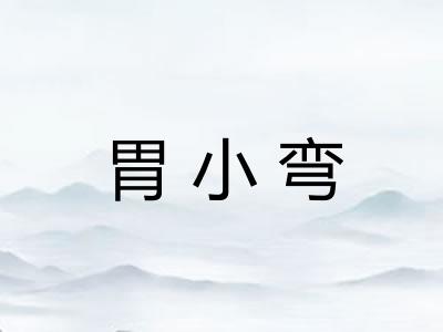 胃小弯
