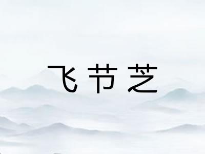 飞节芝