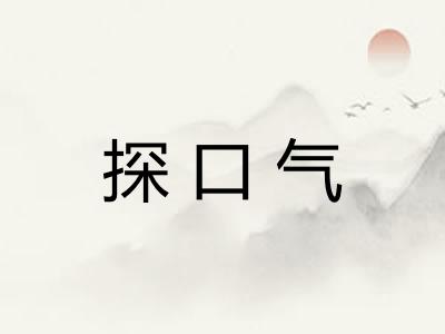 探口气