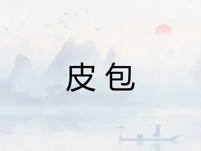 皮包
