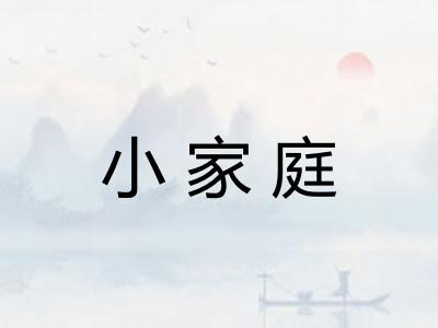 小家庭