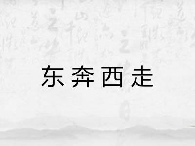东奔西走