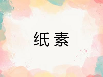 纸素