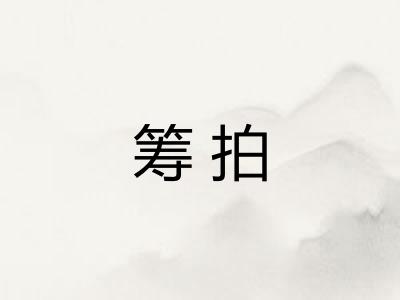 筹拍