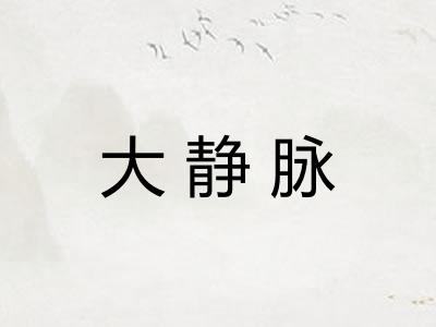 大静脉