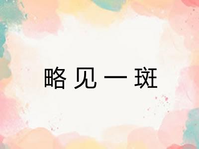 略见一斑