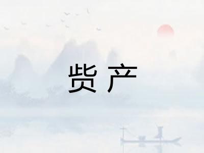 赀产