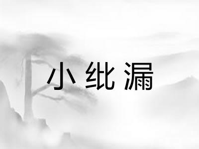 小纰漏