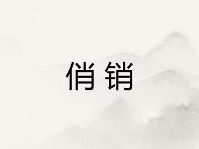 俏销