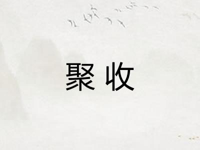 聚收