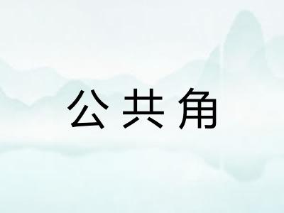 公共角