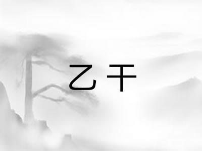 乙干