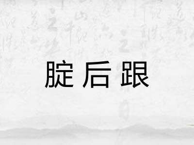 腚后跟
