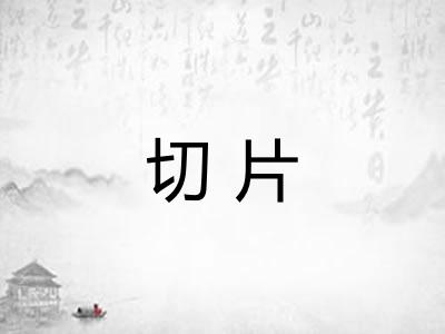 切片