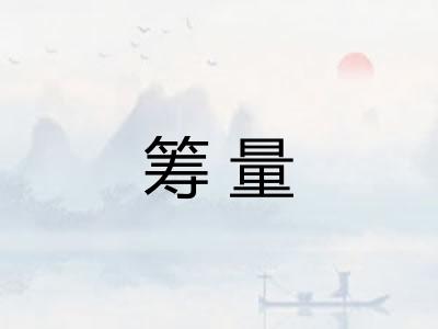 筹量
