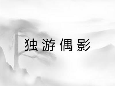 独游偶影