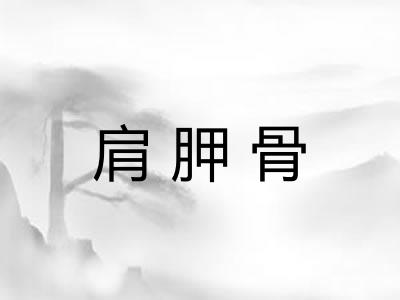 肩胛骨