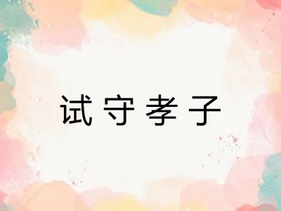 试守孝子