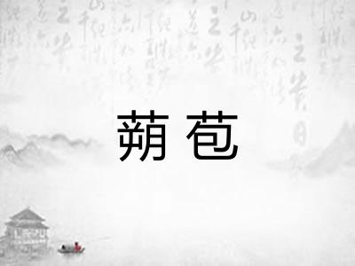 蒴苞