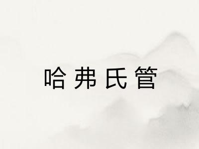 哈弗氏管