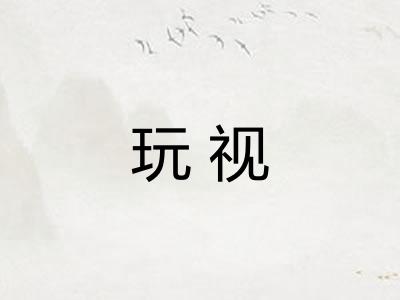 玩视