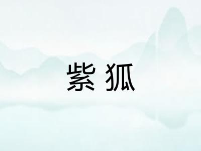 紫狐