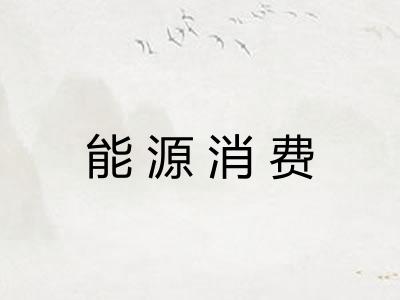 能源消费