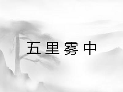 五里雾中