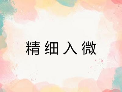 精细入微