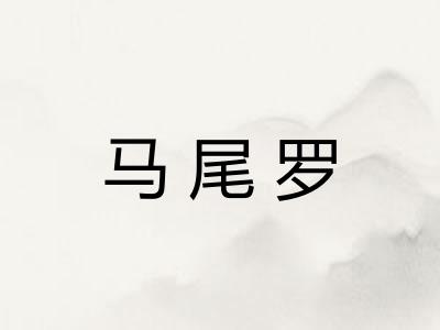 马尾罗