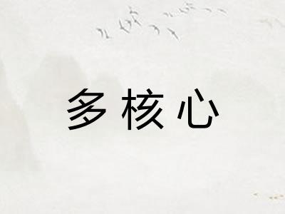 多核心