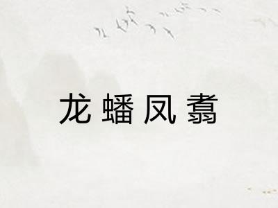 龙蟠凤翥