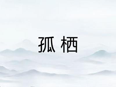 孤栖