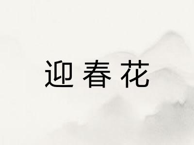 迎春花