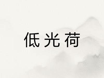 低光荷