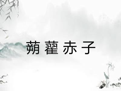 蒴藋赤子