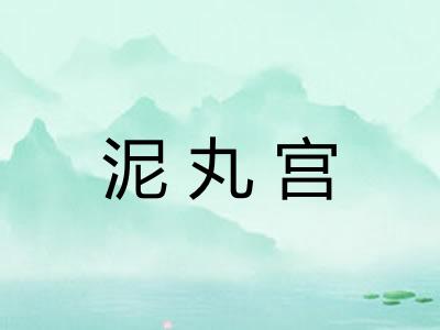 泥丸宫