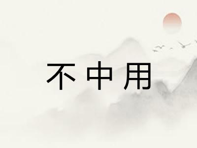 不中用