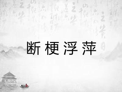 断梗浮萍