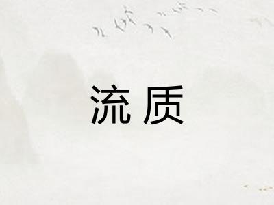 流质