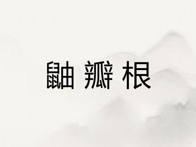 鼬瓣根