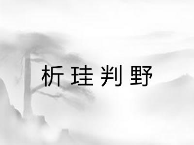 析珪判野