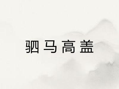 驷马高盖