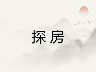 探房
