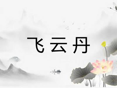 飞云丹