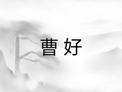曹好