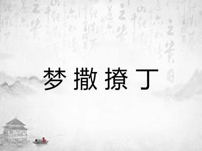 梦撒撩丁