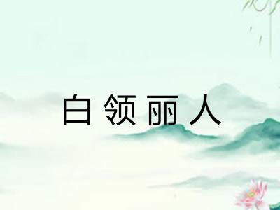 白领丽人