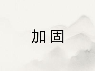 加固