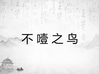 不噎之鸟
